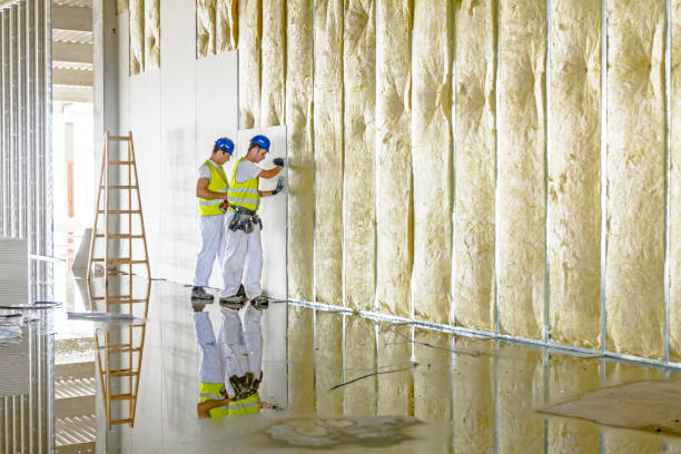 Best Geographic-Specific Insulation Services in Spirit Lake, IA